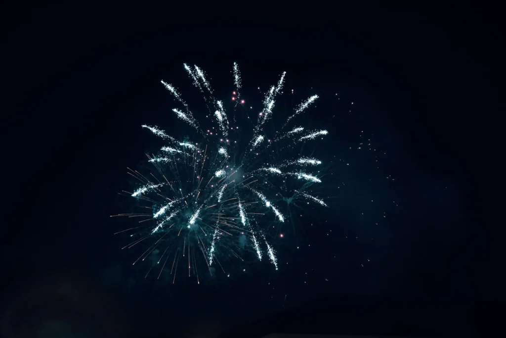Sylvan beach fireworks